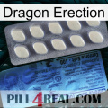 Dragon Erection 34